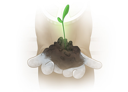Growth